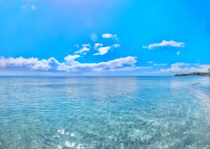 『海洋汚染問題を解決する生分解性プラスチック開発』が発刊されました